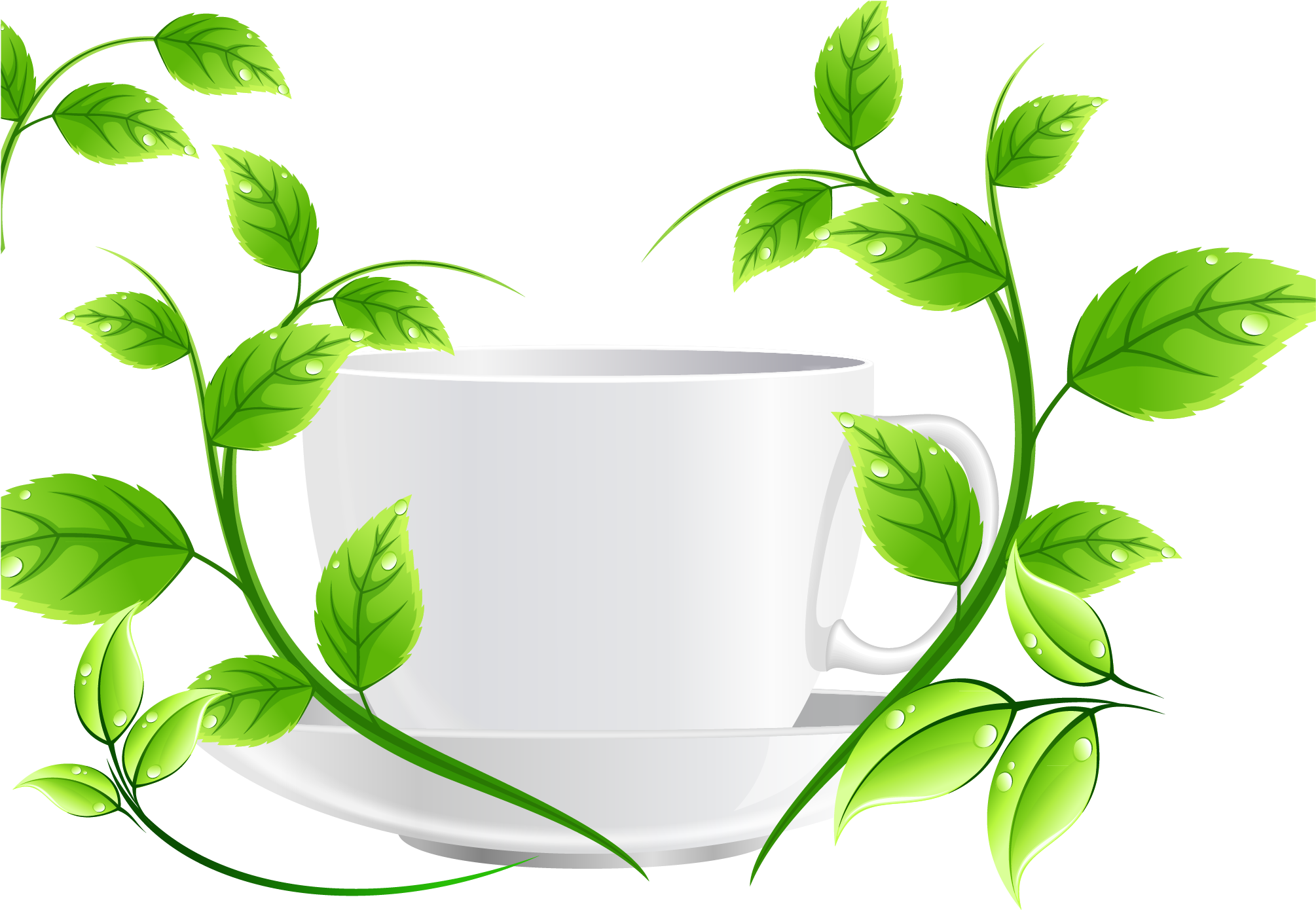 Green Tea Euclidean Vector - Vector Graphics (2288x1675)