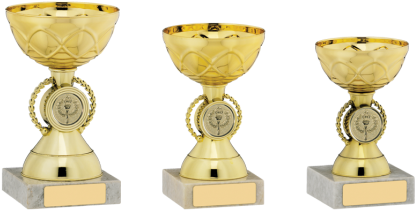 Trophy (464x348)