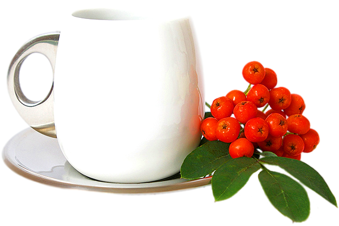 White Tea Cup - Portable Network Graphics (1167x854)
