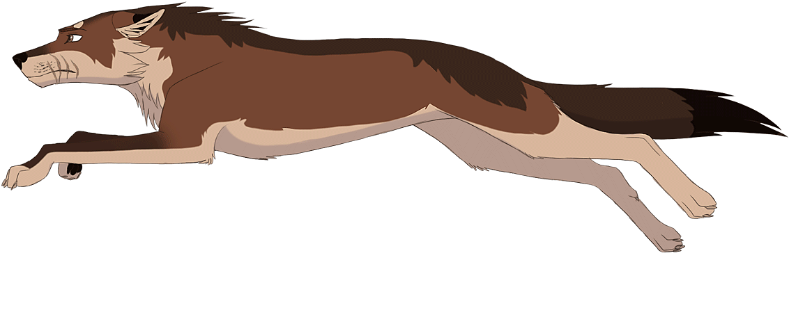 Gray Wolf (1340x597)