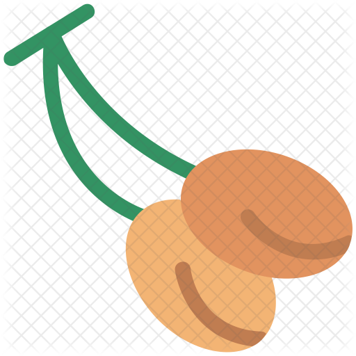 Litchi Icon - Illustration (512x512)