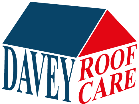 Roof (527x413)