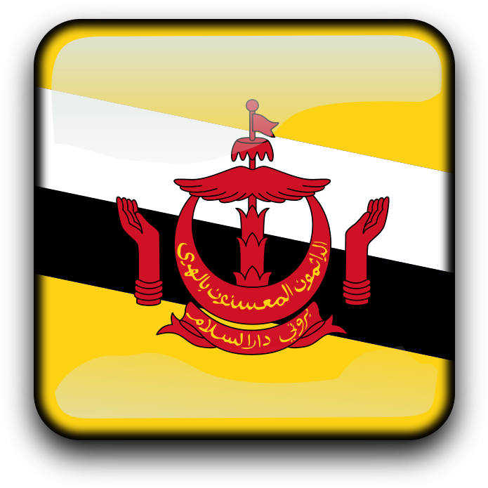 Brunei Flag (900x900)