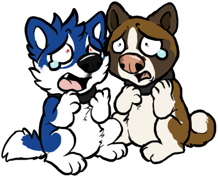 Akita (443x359)