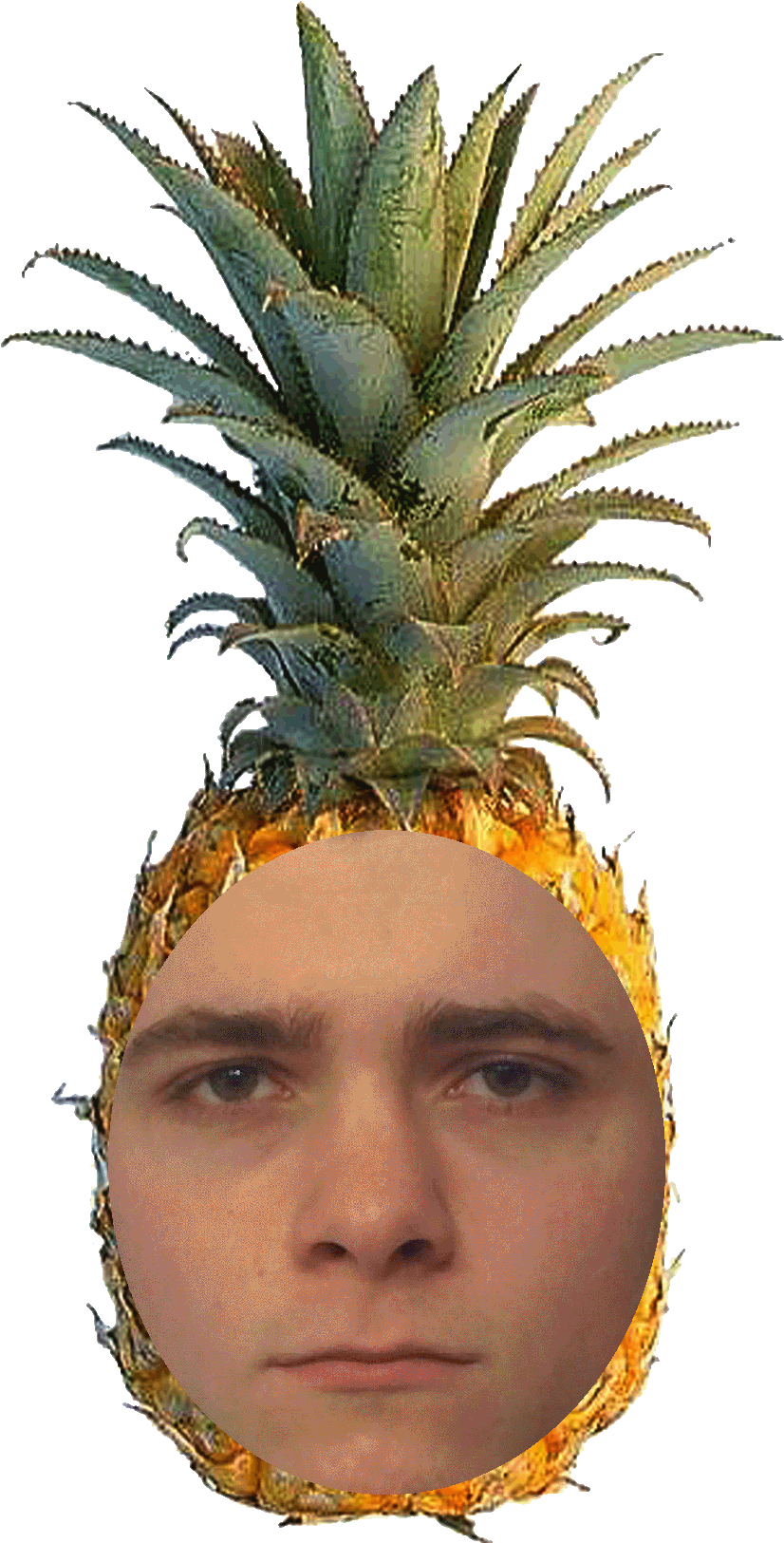 9304141 - Yellow Pineapple (900x1691)
