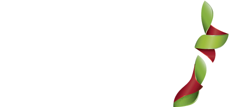 Indevin - Indevin (531x295)