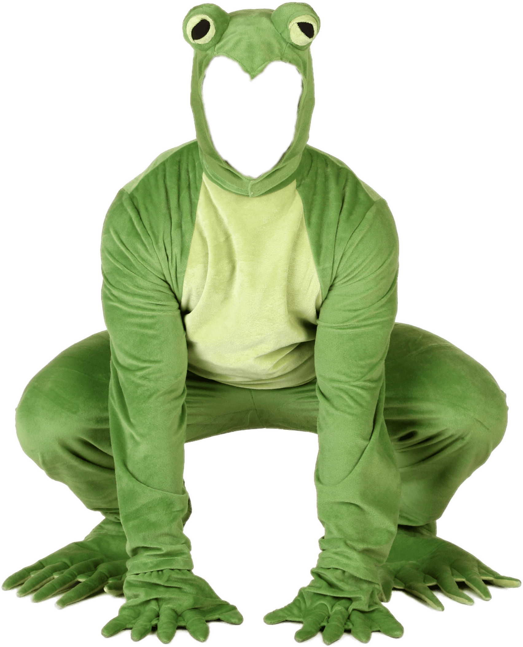 Harry Styles As A Frog (1750x2500)