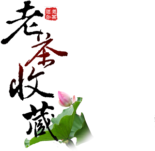 关于泾茯福茶-老茶谜 - Tea (319x396)