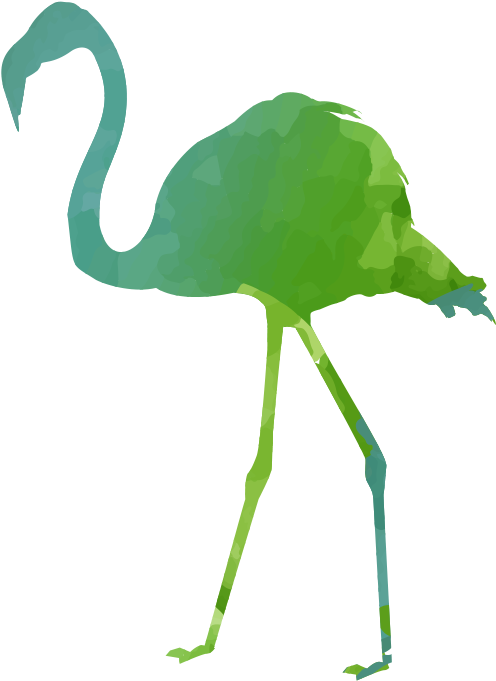彩色鹤 - Cinco De Mayo Flamingos (800x800)