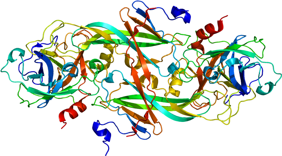 Human Coagulation Factor Ix (1022x589)