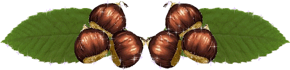 A Fleur D'automne - Marrons Chauds Dessin (600x300)