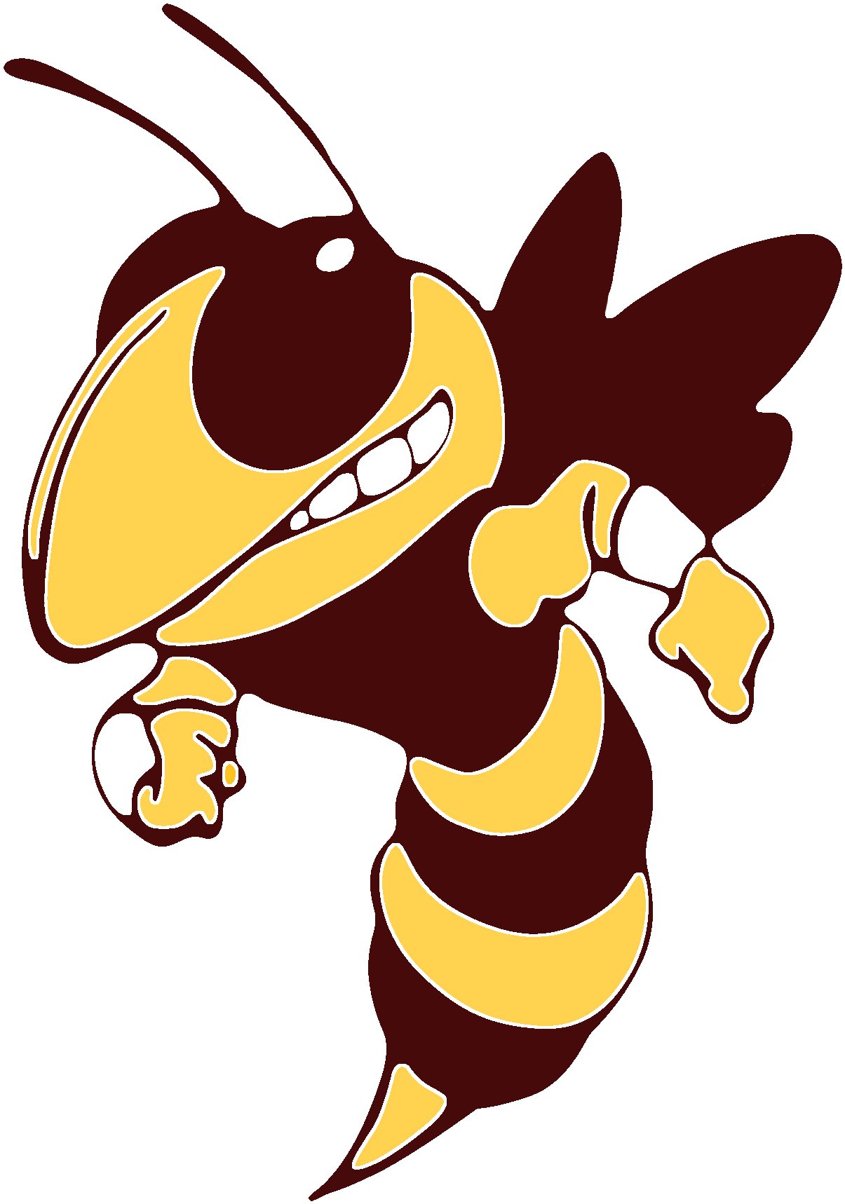 Georgia Tech Yellow Jackets (1214x1727)