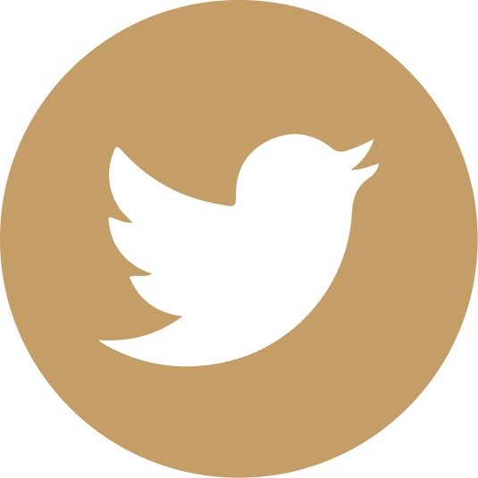 Com 33 44 61 94 - Twitter Icon In Circle (535x535)