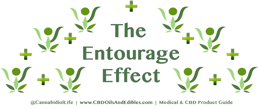Entourage Effect (1024x400)