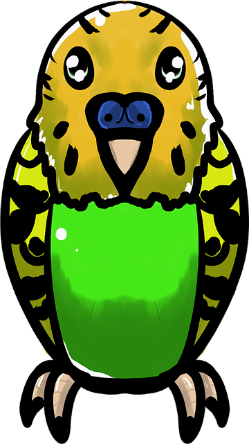 Pin Budgie Clipart - Budgerigar (360x640)