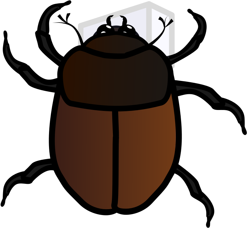 June Bug Clip Art - Junebug Clipart (800x800)