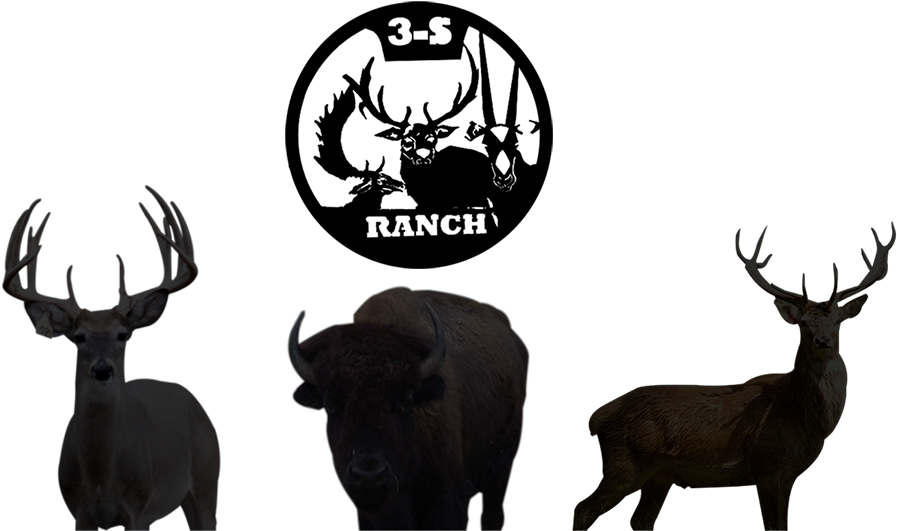 3s Ranch - Bedias (906x530)