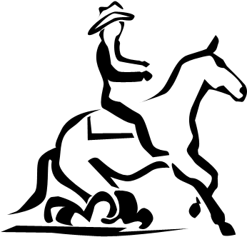 Westernreiter (472x354)
