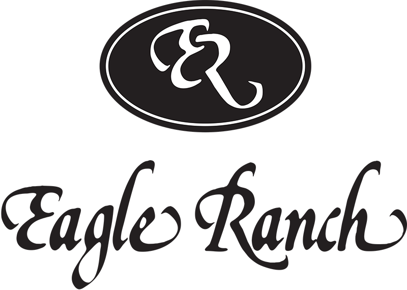 Activelifestyle Logo (800x570)