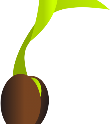 Seed (750x422)