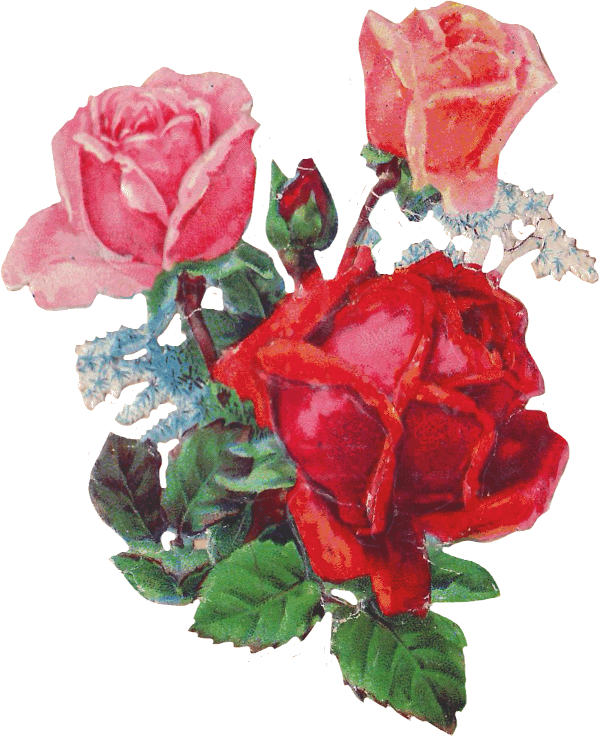 Rose Sticker - - ❤ - Flower (913x1123)