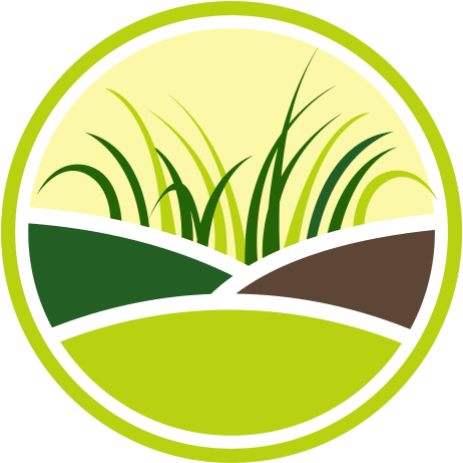 Circle (512x512)