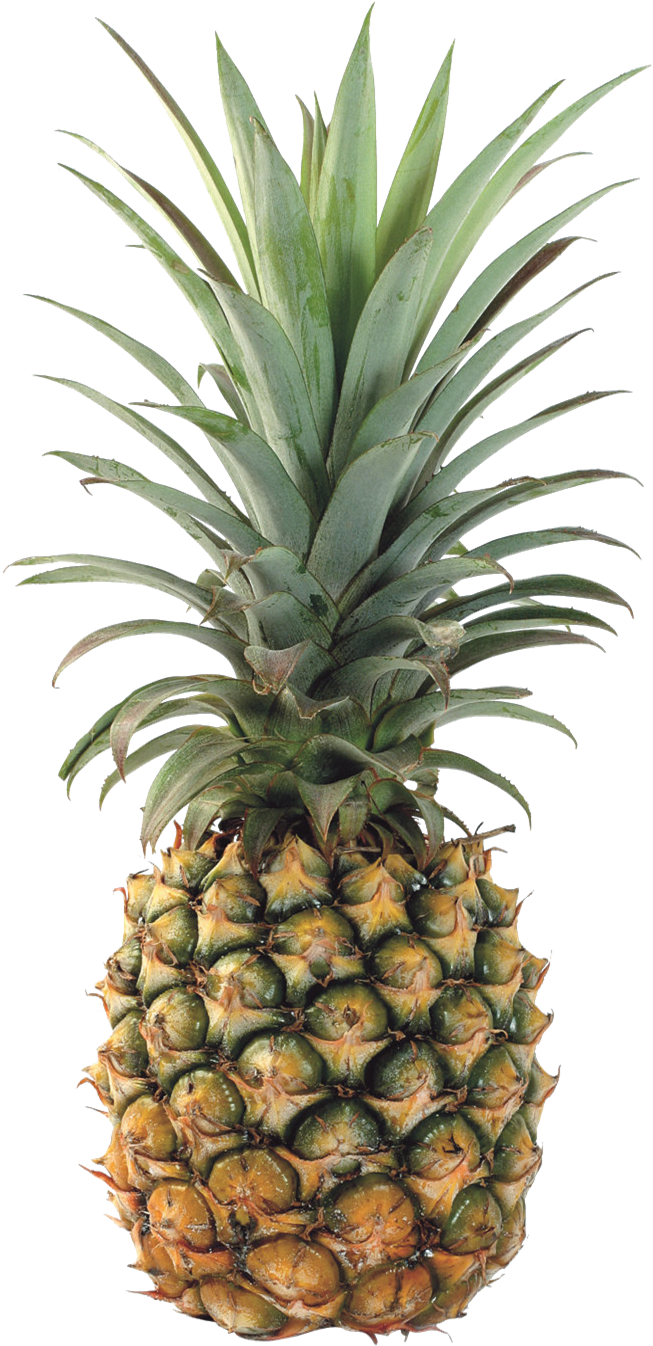 Pineapple Transparent Background - Pineapple (900x1350)