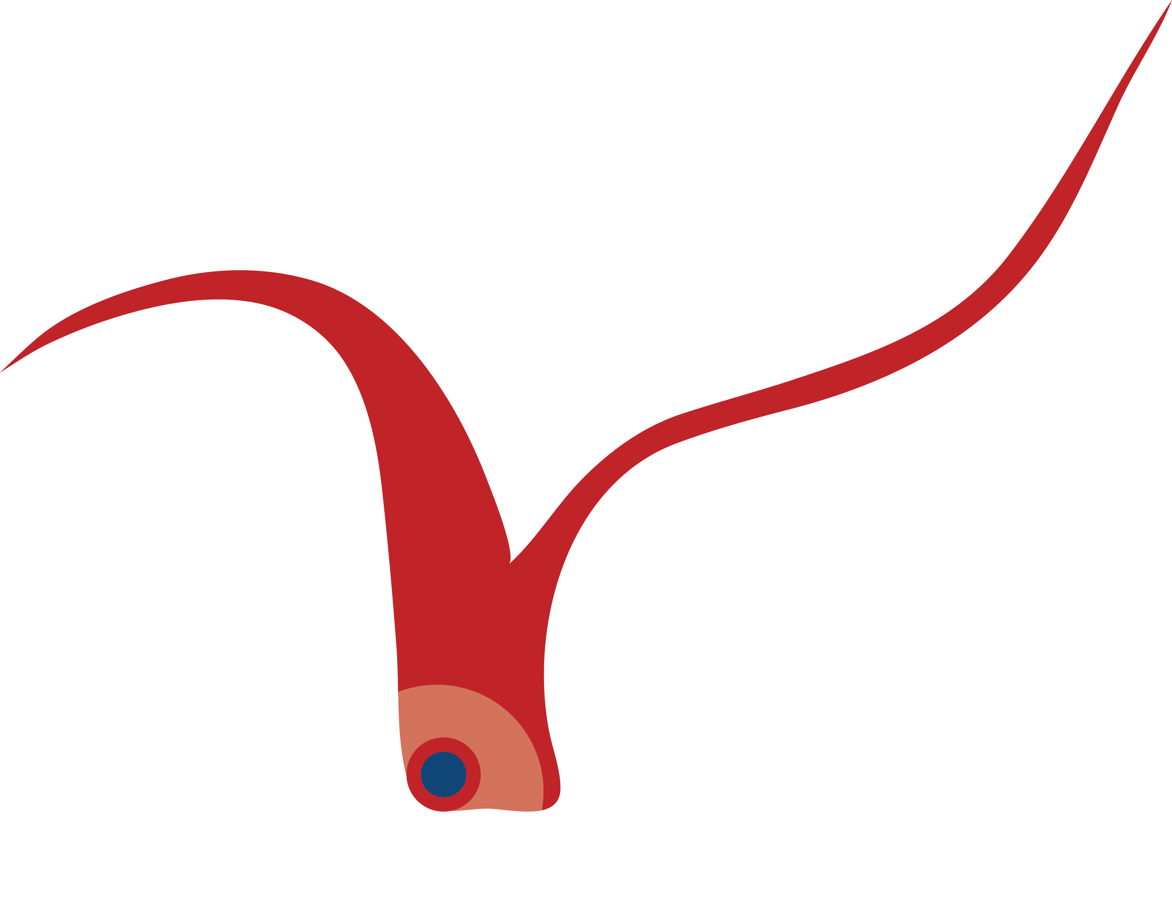 What - Logo (4069x3118)