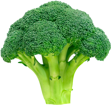 Broccoli - World Cup 2010 Ball (411x372)