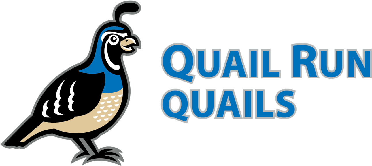 About Quail Run - Quail Run Elementary School (1500x803)