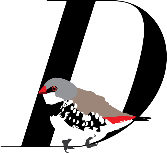 Bird (960x960)