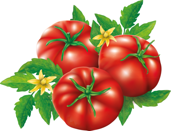 Clip Art - Fruit (600x461)