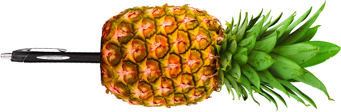 Pineapple Pen - Pineapple With A Pen (1571x893)