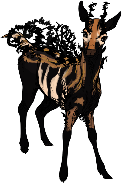 Brahmaea Certhia - Illustration (404x604)
