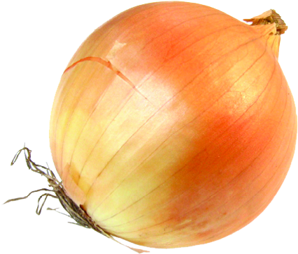 Onion - Onion Transparent (432x379)