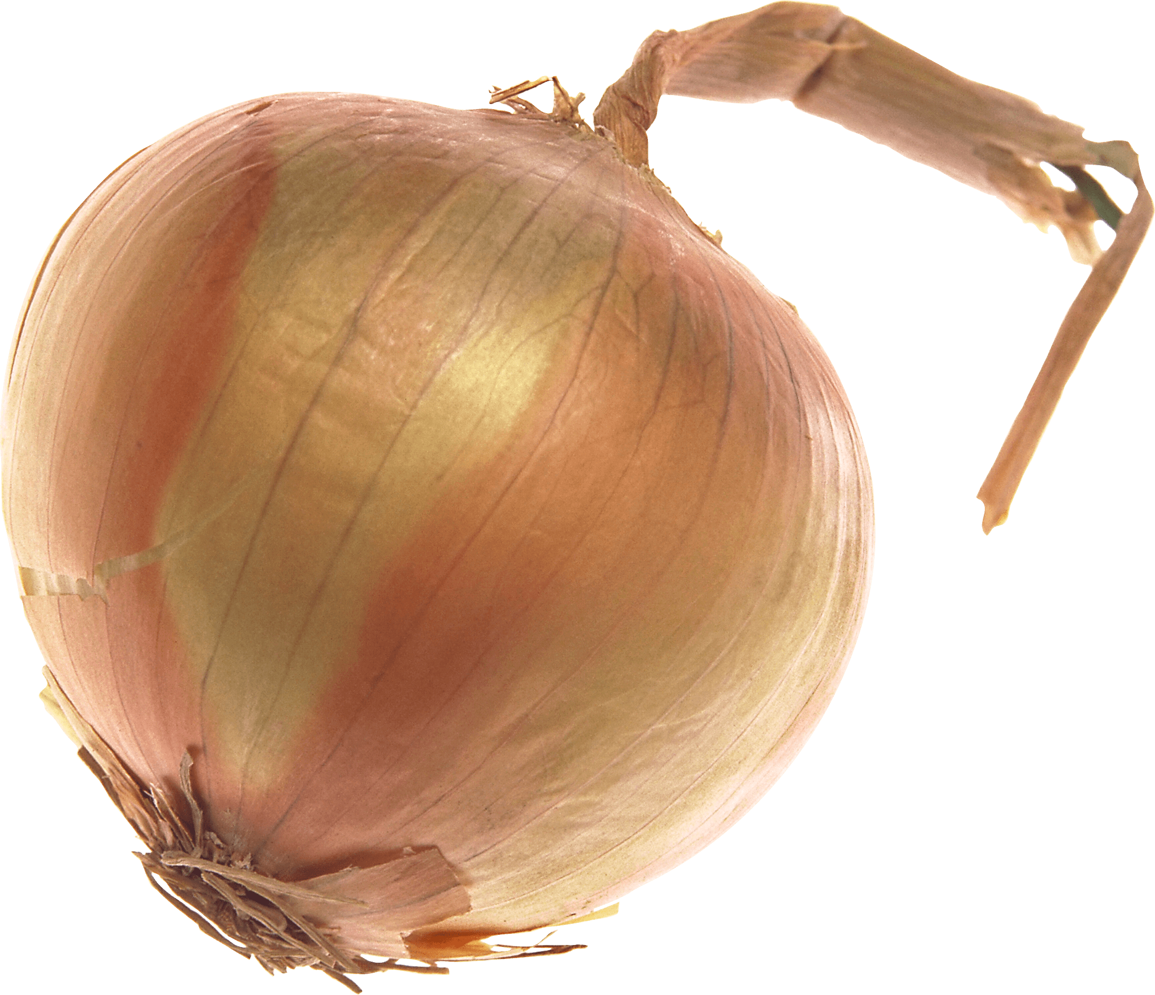 Onion Large - Onions With Transparent Background (2287x1970)