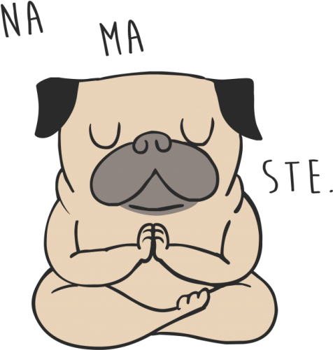 Display Gallery Item 1 - Pug (500x500)