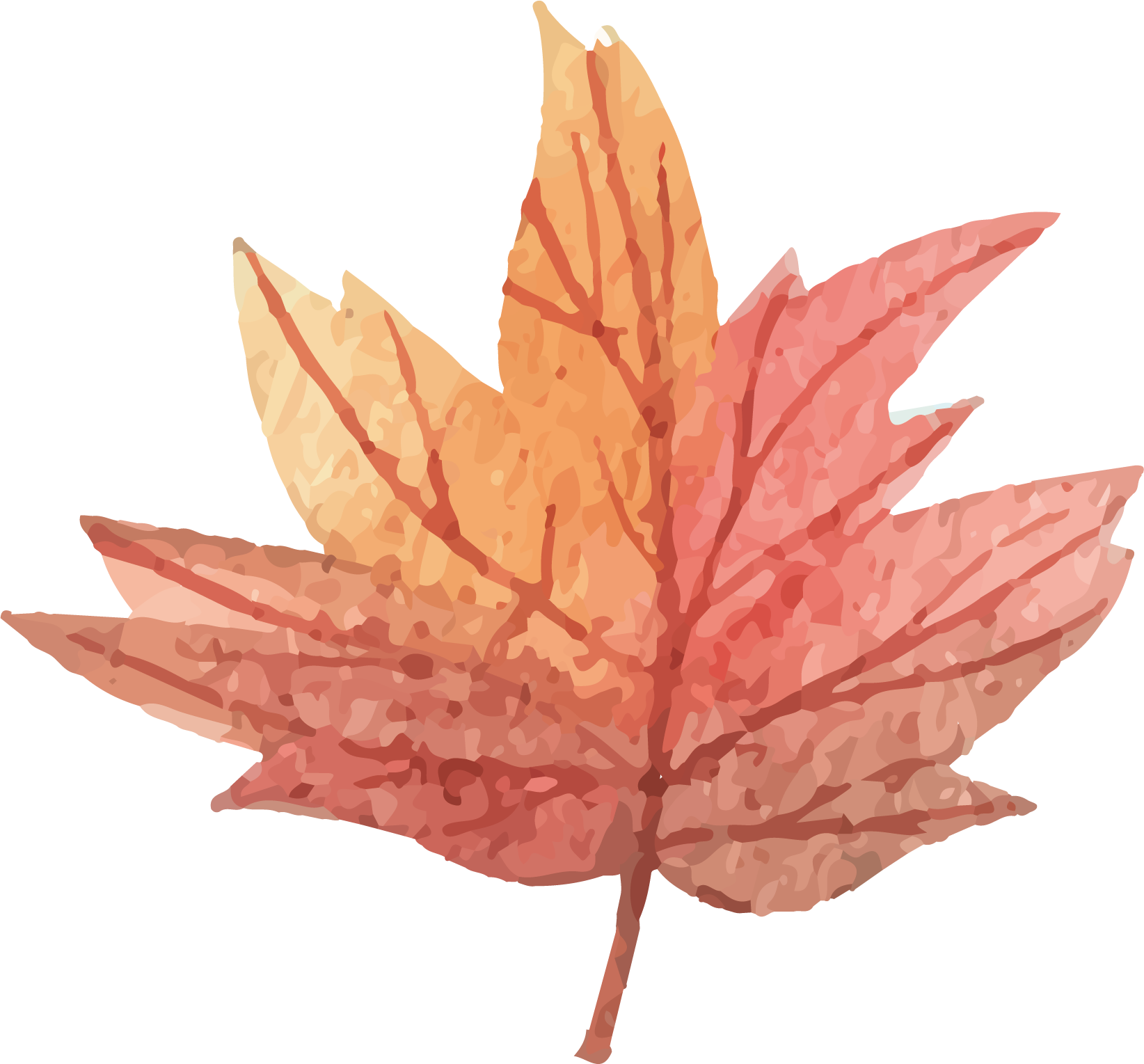 Vector Maple Leaf - Maple Leaf (1644x1529)