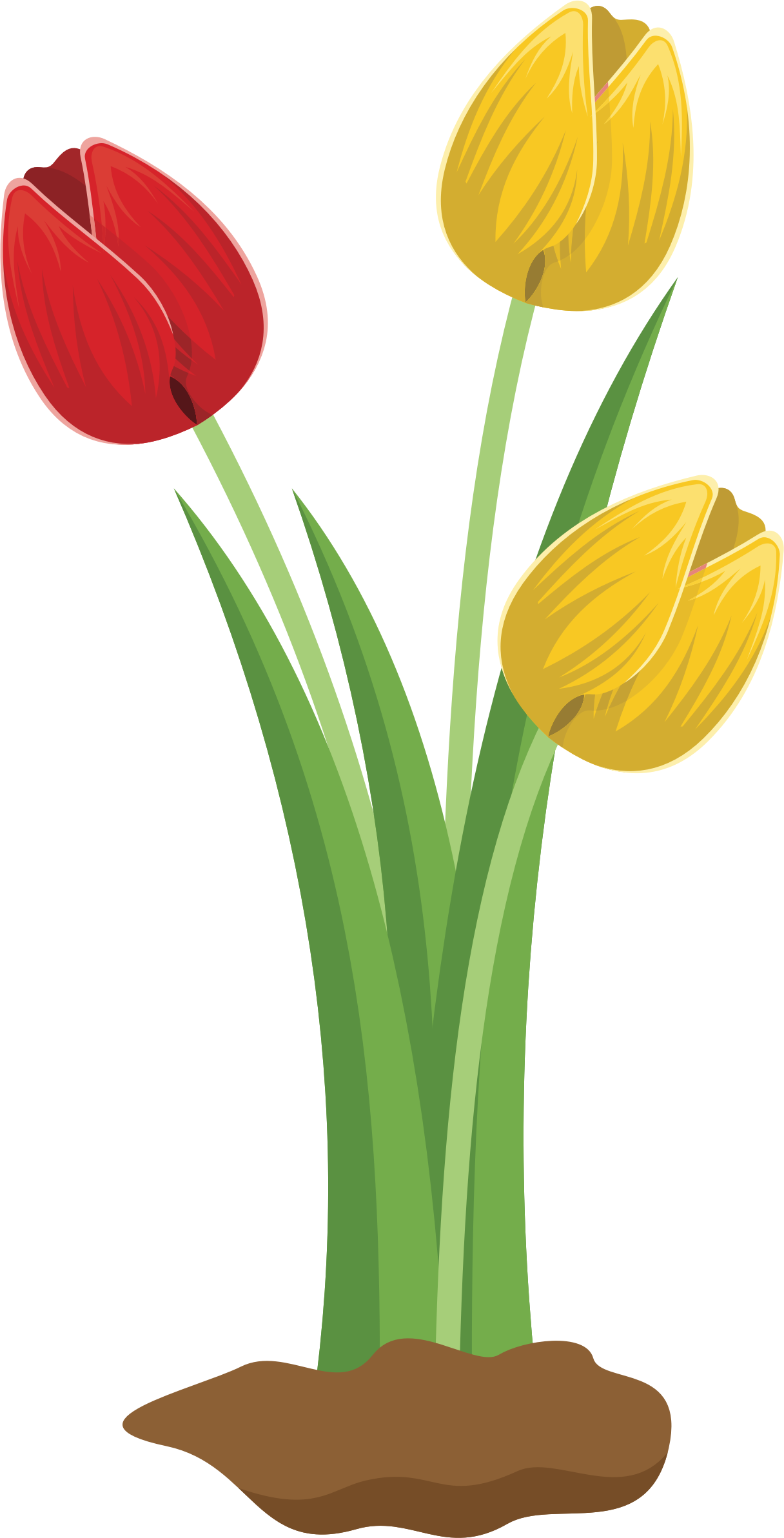 Big Image - Clip Art (1216x2385)