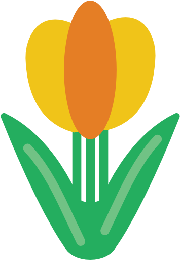 Tulip Free Icon - Education (512x512)