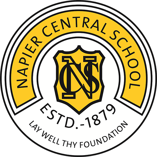 Napier Central School (500x500)