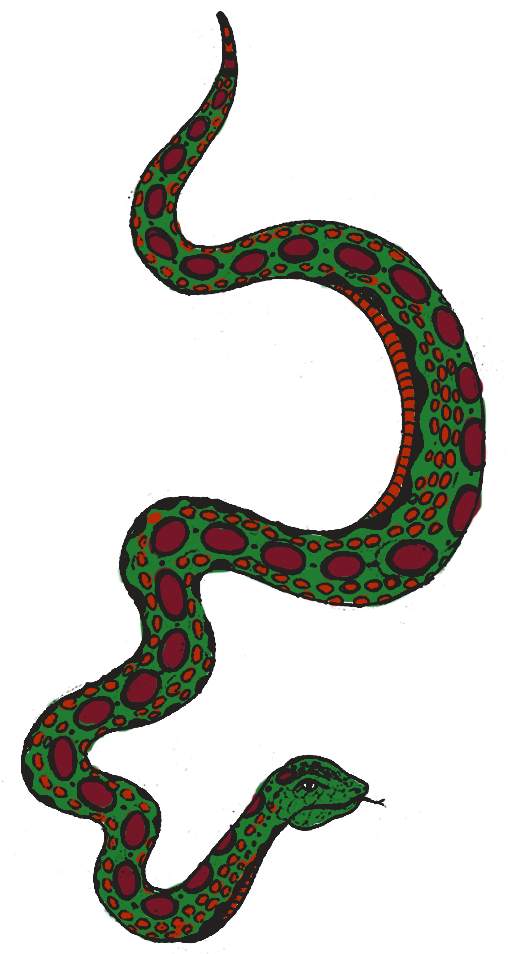 I - Reptile (560x1090)