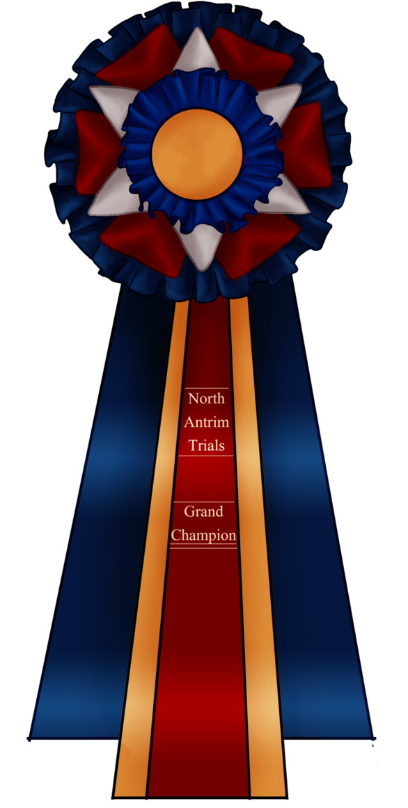 Medal (585x1365)