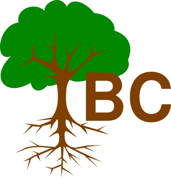 Tree Clip Art (576x599)