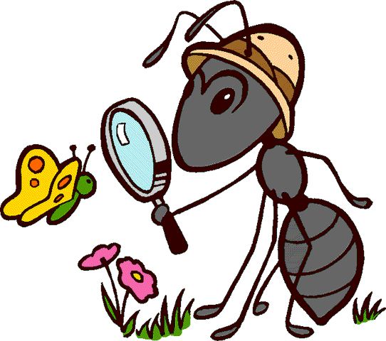 Ants Cartoon (542x480)