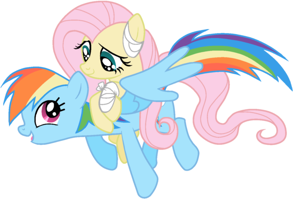 Rainbow Dash Wing S (1024x688)