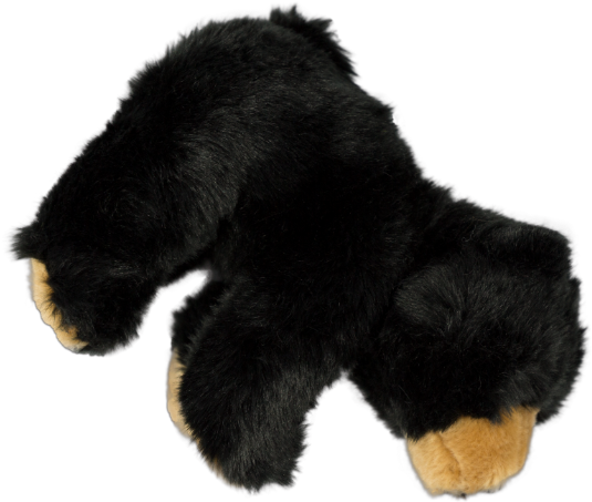 Sun Bear Clipart Small Bear - Teddy Bear (800x533)