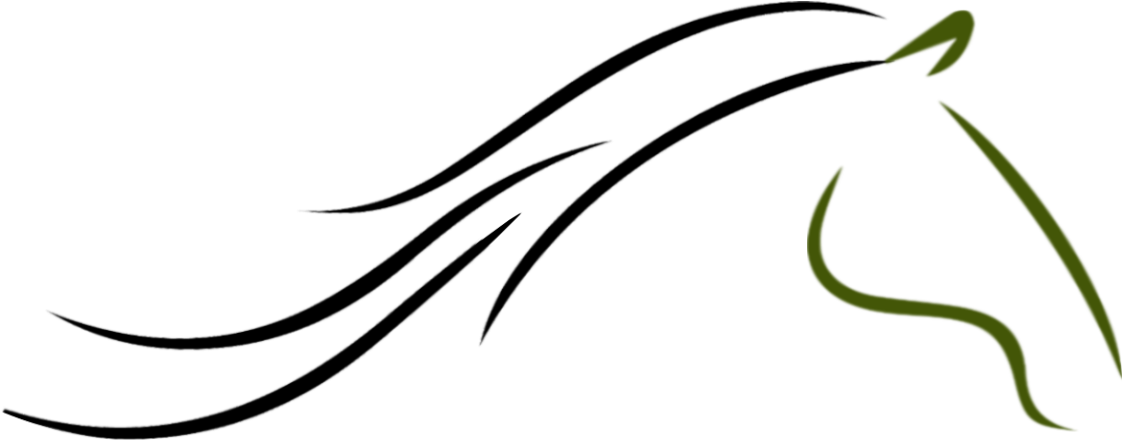 Horse (1170x491)