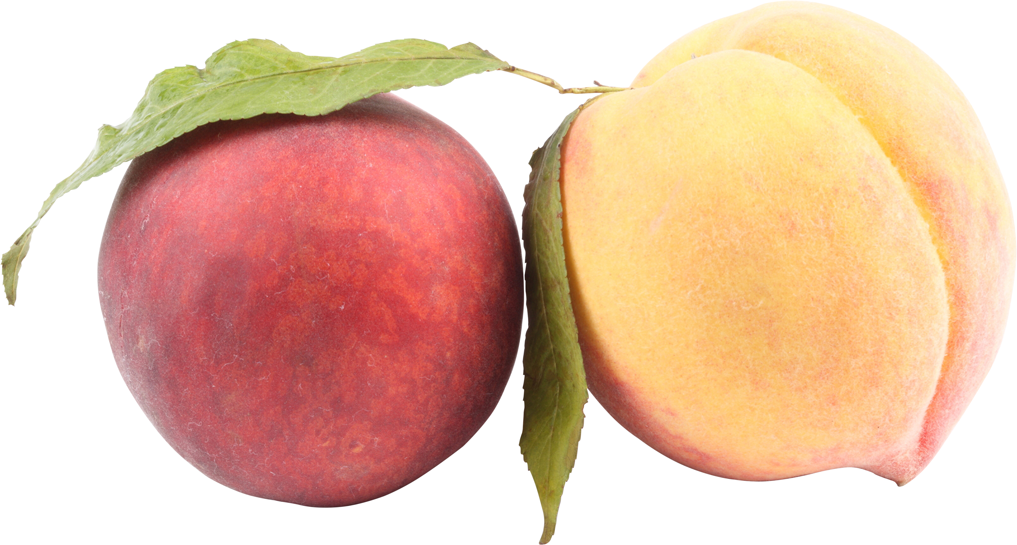 Download - Peach (3494x1873)