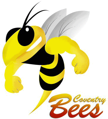 Fighting Bee Photo - Coventry Bees (394x432)